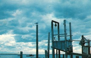 Postcard Old Fish Pier Off Bridge St. Chatham Cape Cod Massachusetts Lazarus Pub