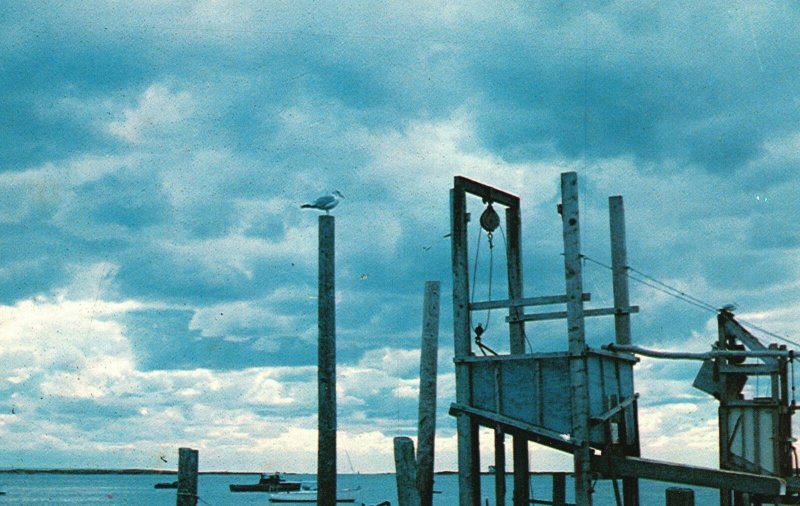 Postcard Old Fish Pier Off Bridge St. Chatham Cape Cod Massachusetts Lazarus Pub