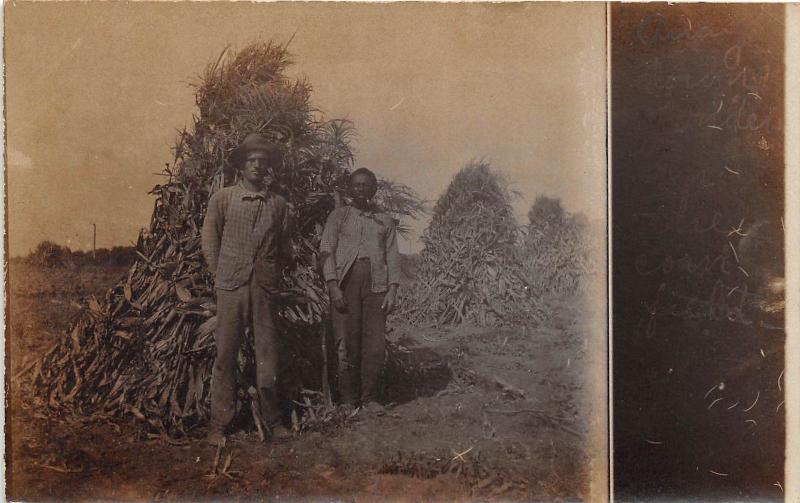 D48/ Cordova Montana Mt RPPC Postcard c1910 Corn Field Black Americana Colored