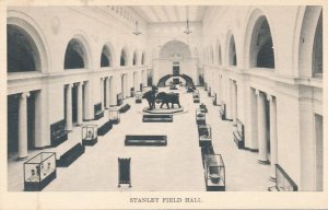 Chicago IL, Illinois - Stanley Field Hall - Field Museum of Natural History