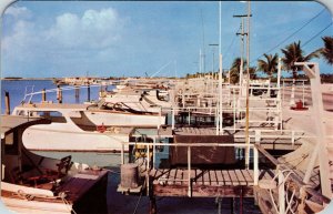 1960's Key West Florida Fishing Fleet Boats Vintage Postcard Rounded Corners