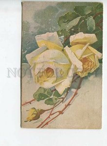 438390 Yellow ROSES w/ Dew by C. KLEIN vintage Russian postcard