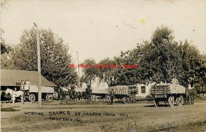 MI, Lawton, Michigan, RPPC, Farmers Weighing Grapes, J.W. Klink No 24-1