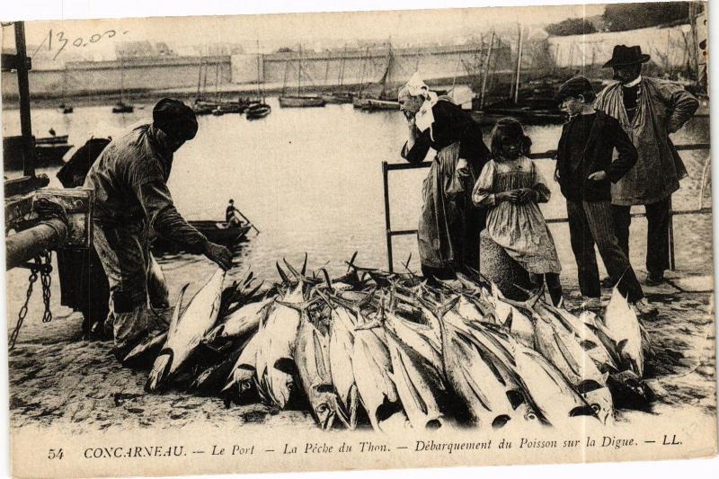 CPA CONCARNEAU - Le Port - La Péche du Thon - Débarquement (193392)