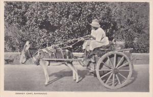 Barbados Typical Donkey Cart