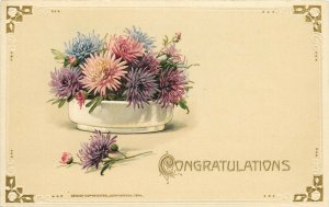 1914 Embossed Winsch Postcard; Congratulations, Beautiful Chrysanthemums in Bowl