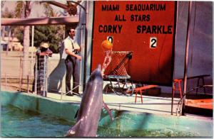 Dolphin Shoots Baskets at Miami Seaquarium Porpoise FL Vintage Postcard L11 