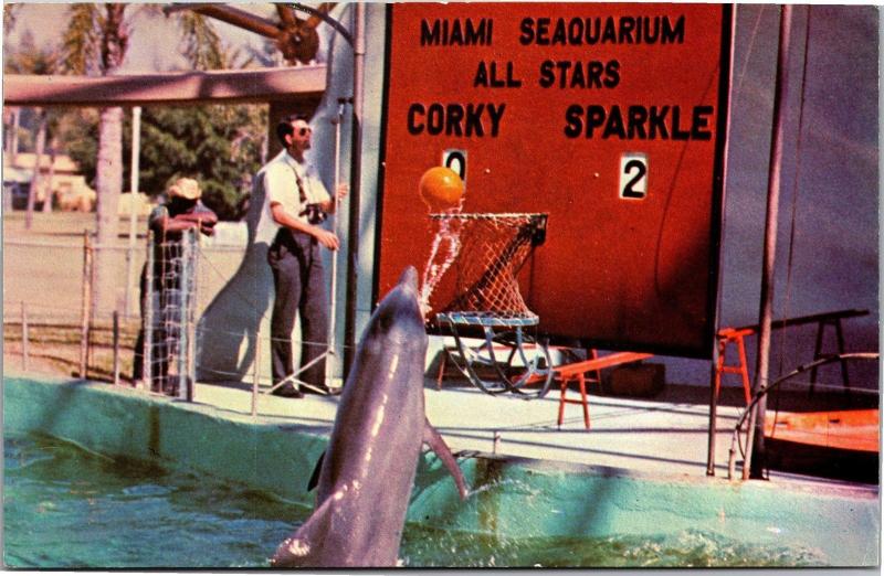 Dolphin Shoots Baskets at Miami Seaquarium Porpoise FL Vintage Postcard L11 