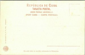Habana Botanical Gardens UDB Antique Postcard UNP Unused Germany 