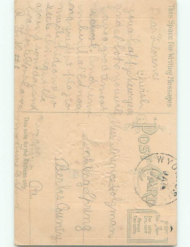 Divided-Back CHRISTMAS BIRDS SCENE Pretty Postcard W8567