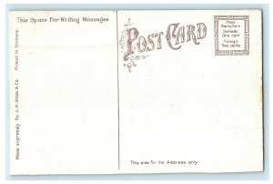 c1910's Y.M.C.A Building Trees Front Street View Clinton Iowa IA Postcard 