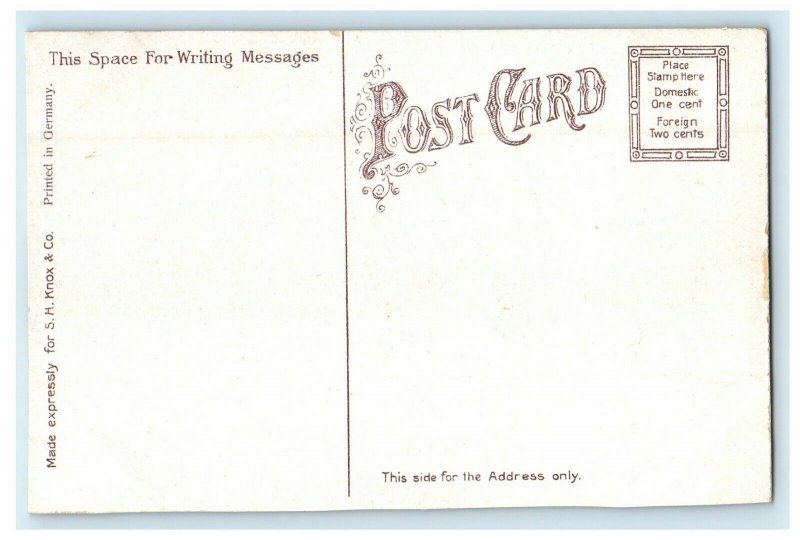 c1910's Y.M.C.A Building Trees Front Street View Clinton Iowa IA Postcard 