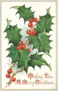 1909 Christmas Postcard Holly Leaves and Berries on Stem, Tuck's 500