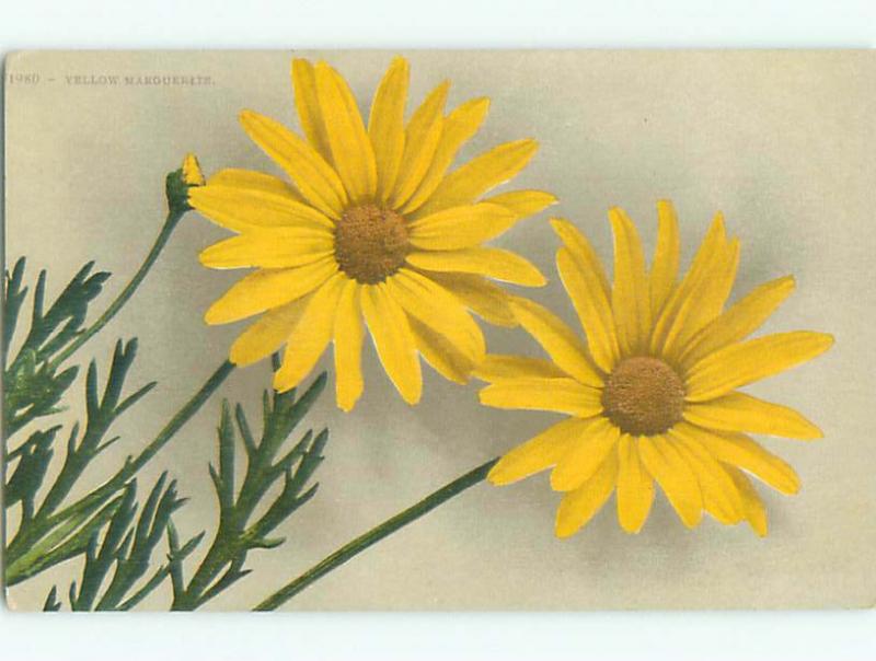 Unused Pre-Linen BEAUTIFUL LARGE YELLOW MARGUERITE FLOWERS k4137