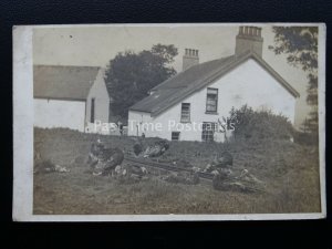 Free Range Turkey's in Field - Old RP Postcard