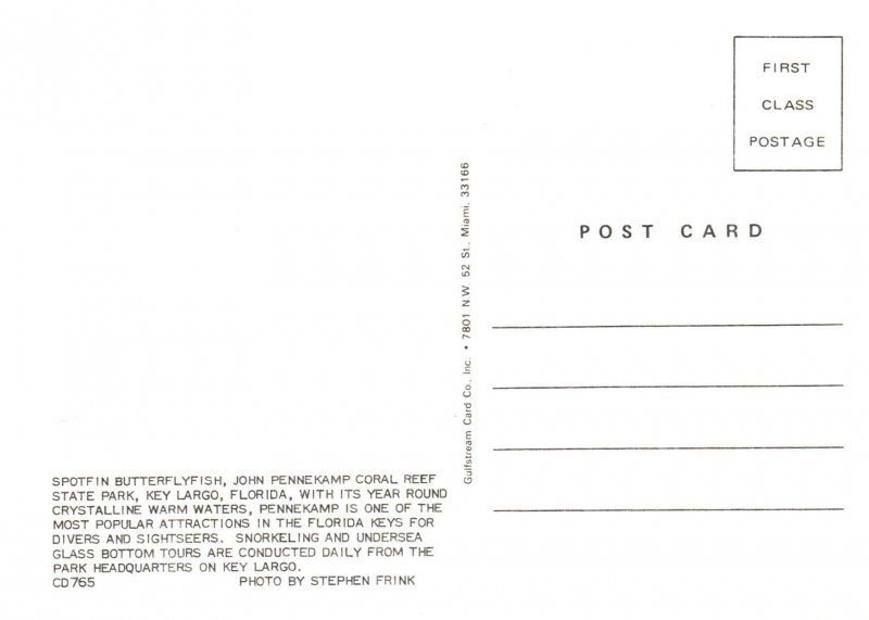 Butterfly Fish,John Pennekamp Coral Reef State Park,FL