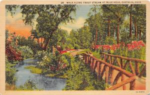 Castalia Ohio~People on Walk along Trout Stream @ Blue Hole~Rustic Bridge~1935