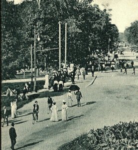 Central Avenue Belle Isle Detroit Michigan Vintage Standard View Postcard 