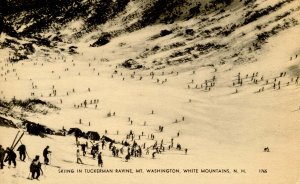 NH - Mt Washington, Skiing in Tuckerman Ravine   