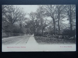 Surrey WOKING Heathside Avenue c1905 Postcard by W.A. Elton