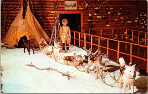 Woodland Cree dog team, carriole, Luxton Museum, Banff, Alberta Canada Postcard