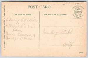 Morrison Illinois~Vine Covered City Water Works~c1910 Postcard