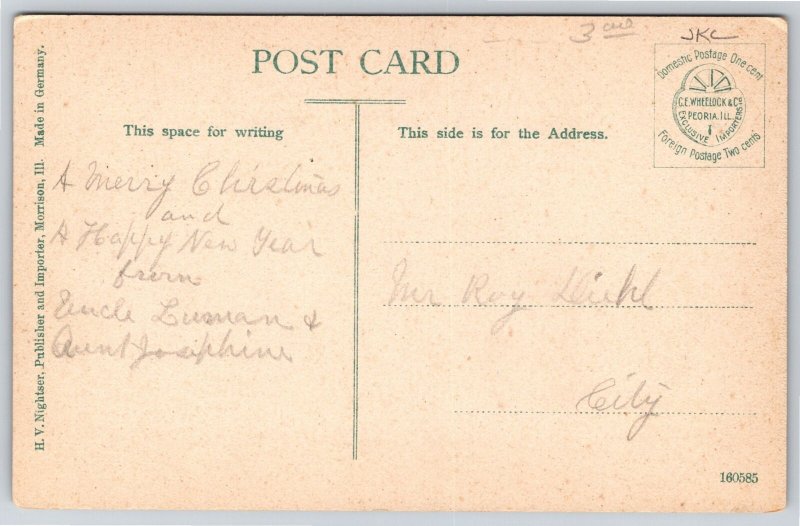 Morrison Illinois~Vine Covered City Water Works~c1910 Postcard