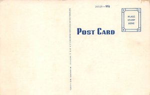 Greetings from Lake Tomahawk, Wis. USA Fishing Postcard