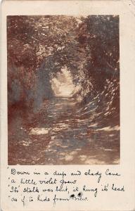 BR75024 a lane in kent   real photo  uk bordon camp