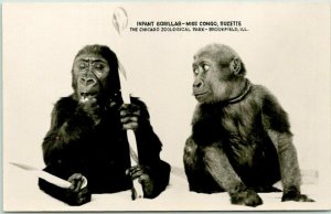 1930s Chicago Zoological Park BROOKFIELD ZOO Postcard RPPC Infant Gorillas 