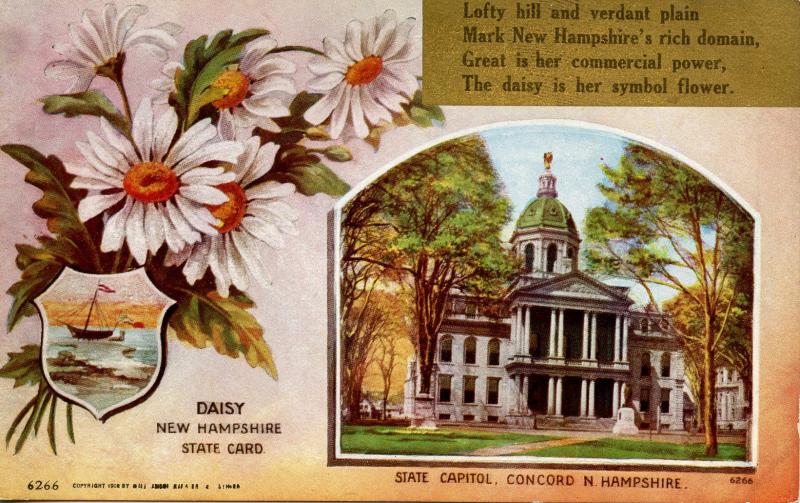 State Flower & Capitol - New Hampshire, Daisy (As of 1919 it's now Purple Lilac)