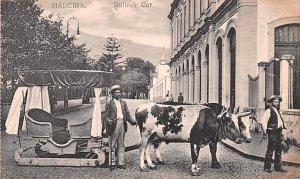 Bullock Car Madeira Spain Unused 