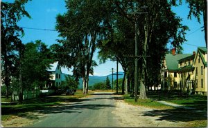 Vtg Fryeburg Maine ME Bradley Street View Elm Trees Frye House Academy Postcard