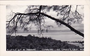California Like County A Little Bit Of Prardise Clearlake 1949