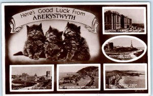 RPPC  ABERYSTWYTH, WALES Multi View Kittens UNIVERSITY, PROMENADE 1947 Postcard