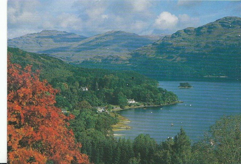 Scotland Postcard - Tarbet - Loch Lomond - Dunbarton   AB553