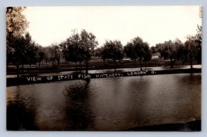 J99/ London Ohio RPPC Postcard c1910 State Fish Hatchery  187