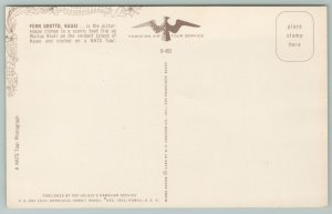 Kauai Hawaii~Fern Grotto~Standard Chrome Postcard