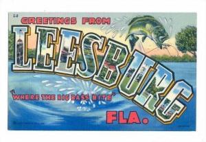 LP23 LARGE letter, Leesburg, Florida, FL, Postcard.