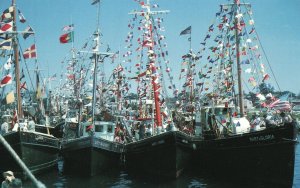 Postcard Shrinking Fishing Fleet Flags Flying from Fishing Vessels New England