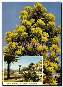 Modern Postcard Souvenir de Saint Raphael