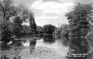 Des Moines Iowa~Municipal Park~Pond with Lily Pads Surrounded by Trees~'40s RPPC