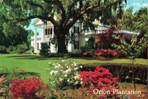 Orton Plantation and Gardens (est. 1725) Wilmington, North Carolina Postcard