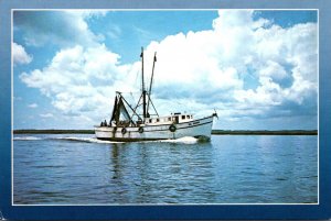 Florida Jacksonville Shrimp Boat Returning With A Catch From The Atlantic