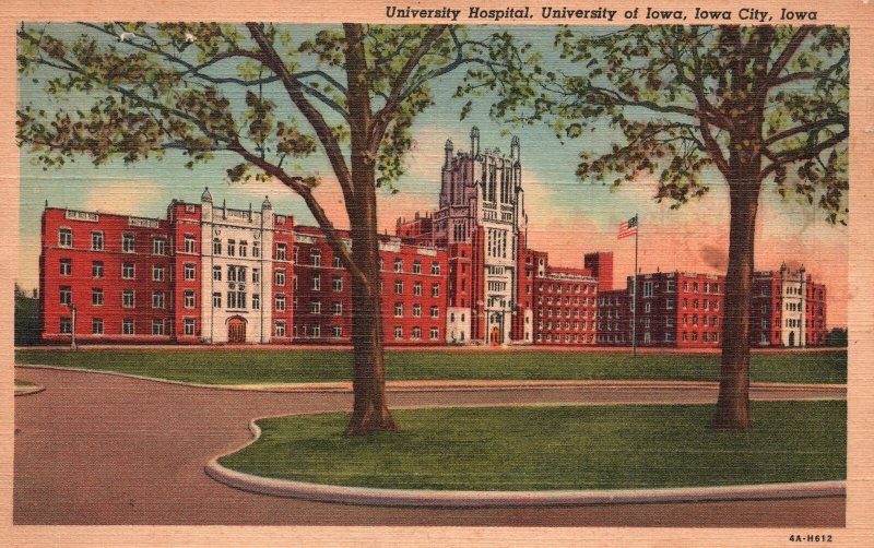 Vintage Postcard University Hospital Medical Building University Of Iowa City IA