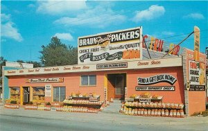 FL, Deland, Florida, Braun Fruit Packers Inc., Dexter No. 43500-B