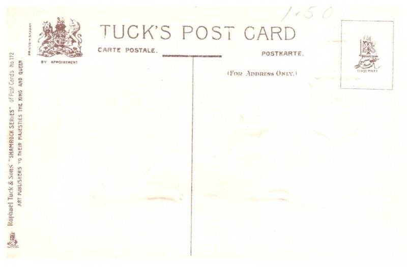 Dog ,  Erin Go Bragh, Sunrise