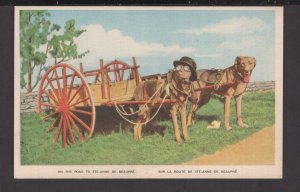 Quebec On the Road to STE. ANNE DE BEAUPRE - Two Dogs pulling a Cart - WB