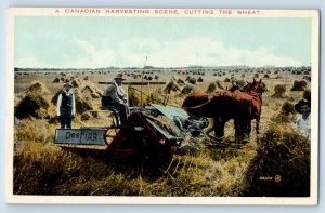 Canada Postcard A Canadian Harvesting Scene Cutting The Wheat Deering Tractor