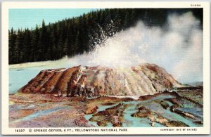 Sponge Geyser 4ft. Yellowstone National Park Wyoming Flinty Hard Rock Postcard